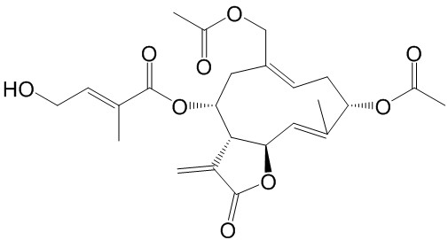 野马追内酯A