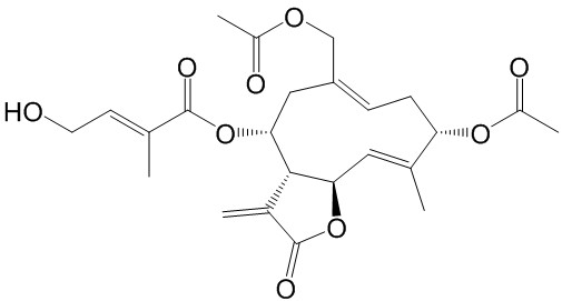 野马追内酯B