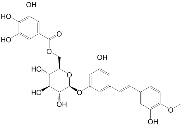 Rhaponticin 6''-O-gallate