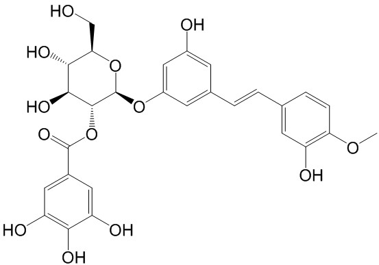 Rhaponticin 2''-O-gallate