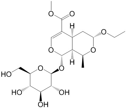 7-O-乙基莫诺苷