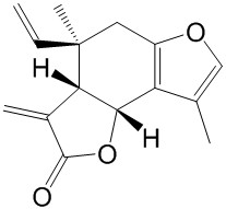 异乌药内酯