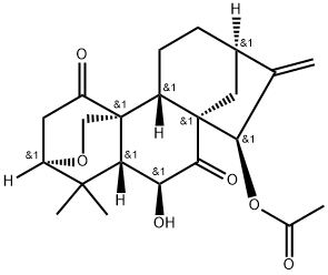 毛萼结晶甲