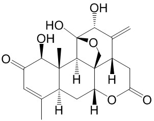 臭椿酮