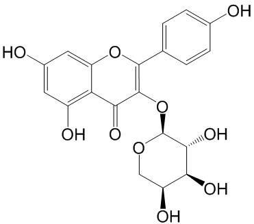 山柰酚-3-O-α-L-吡喃阿拉伯糖苷