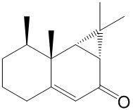 马兜铃酮