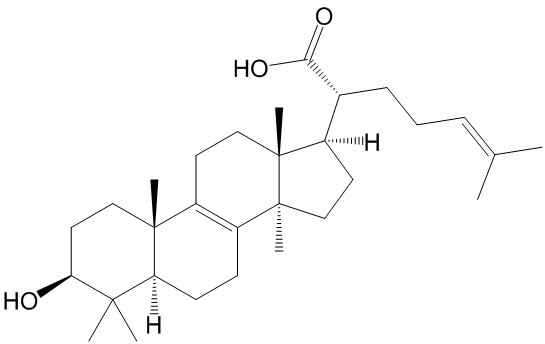 栓菌酸