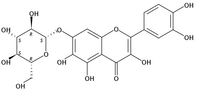 槲皮万寿菊苷