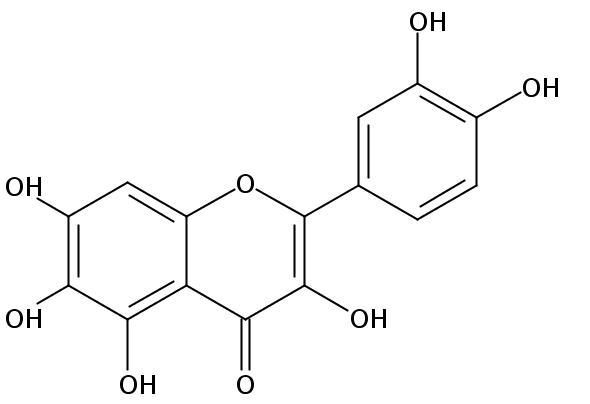 槲皮万寿菊素