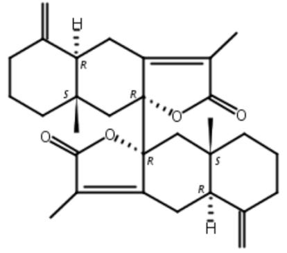 双白术内酯