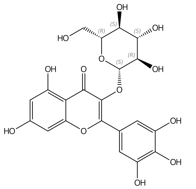 杨梅素-3-O-β-D-葡萄糖苷