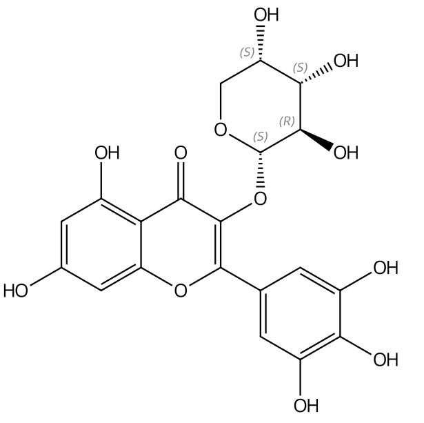 杨梅素-3-α-L-吡喃阿拉伯糖甙