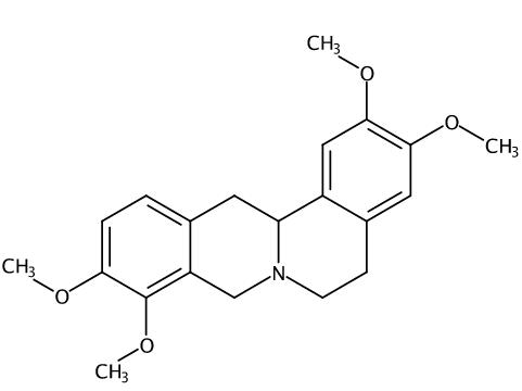 罗通定