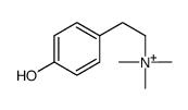 4-羟基-N,N,N-三甲基-苯乙铵