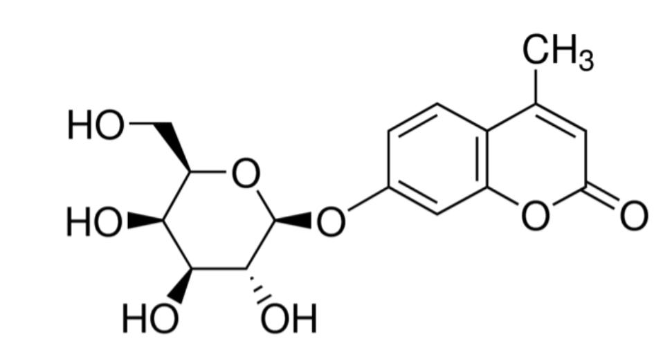 4-甲基伞形酮酰-β-D-吡喃半乳糖苷