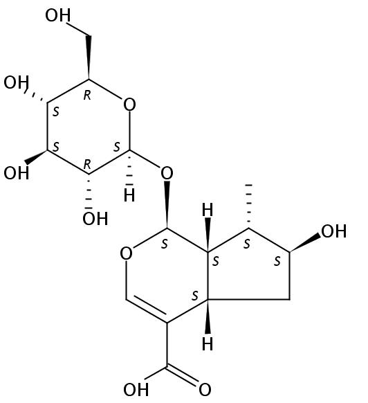 8-表马钱子苷酸