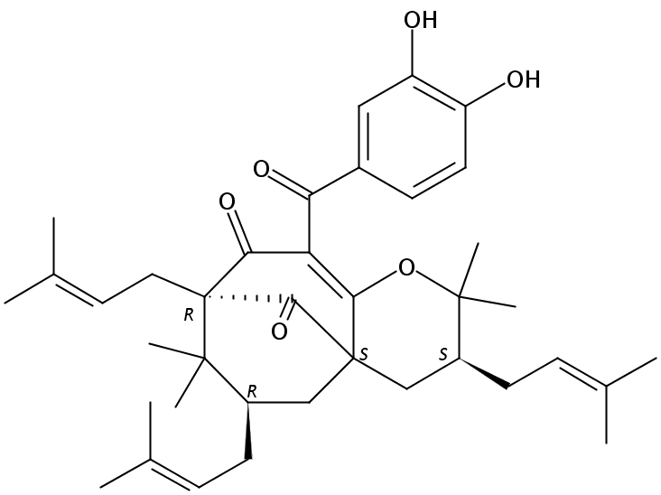 异山竹子素