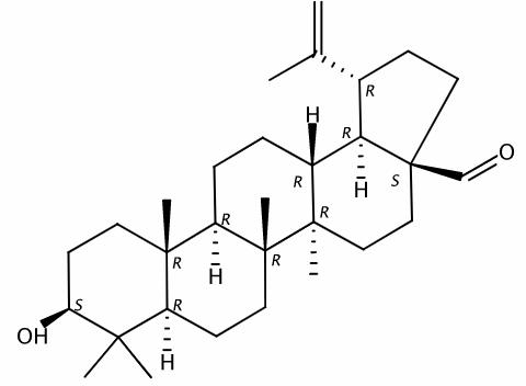 白桦脂醛