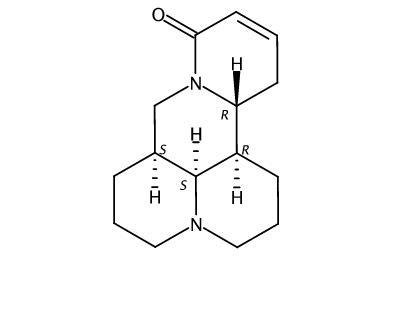 槐果碱