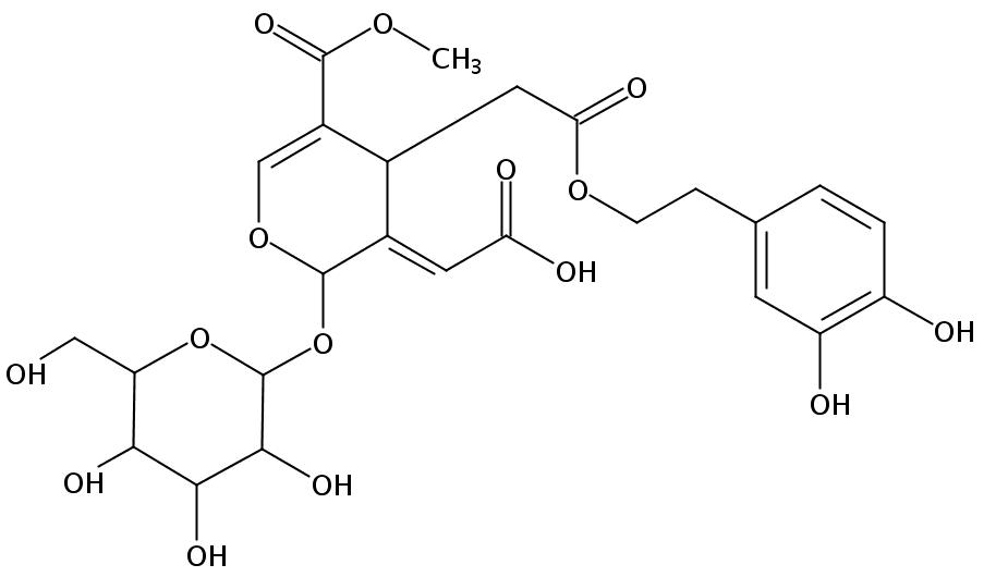 橄榄苦苷酸