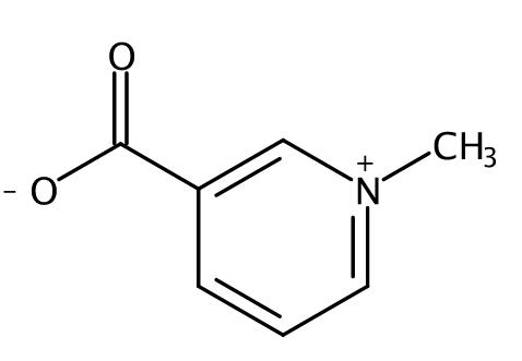 葫芦巴碱