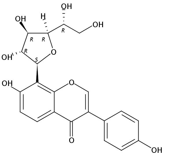 新葛根乙素