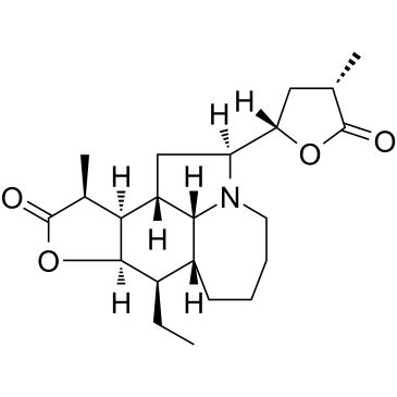 新对叶百部碱