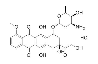 盐酸阿霉素