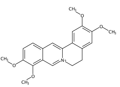 掌叶防已碱；巴马汀