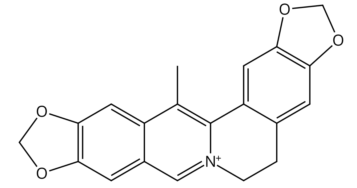 甲基黄连碱