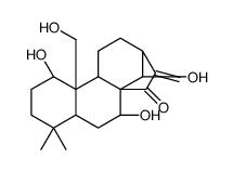 尾叶香茶菜丙素