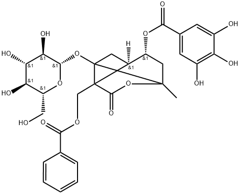 4-O-没食子酰白芍苷