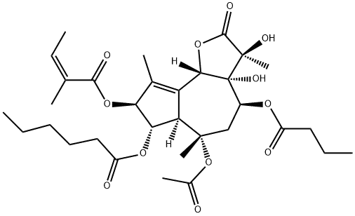 Thapsigargicin