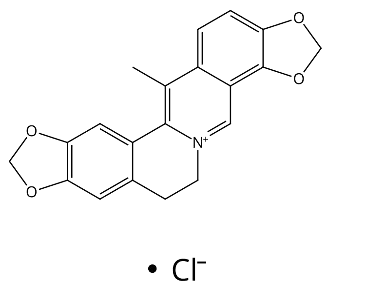 紫堇沙明碱