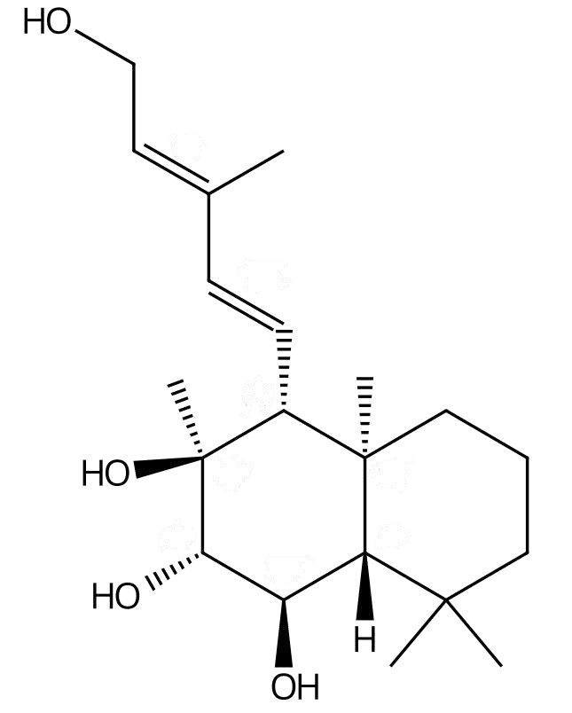 甜叶菊素E