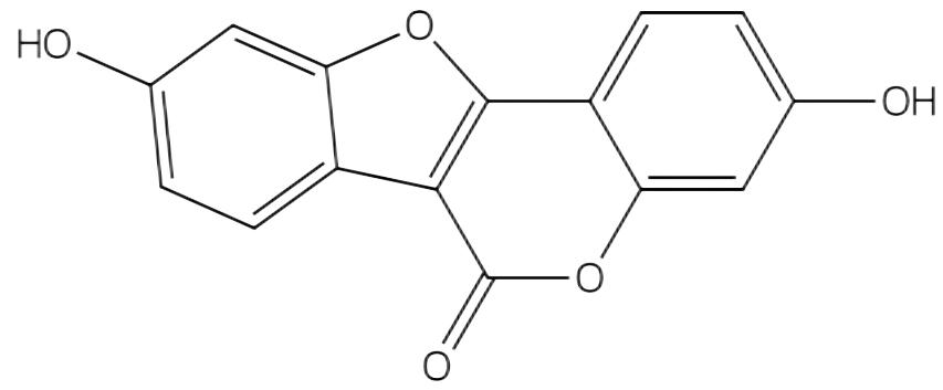 香豆雌酚