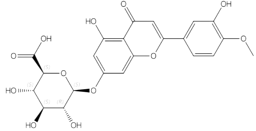 香叶木素-7-O-β-D-葡萄糖醛酸苷