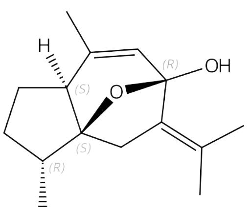 4-表-莪术醇