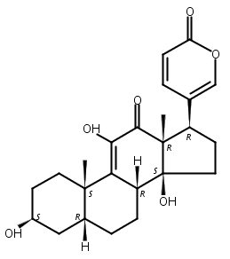 Argentinogenin