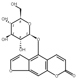 佛手酚葡萄糖苷