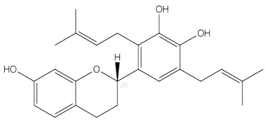 小构树醇A