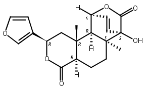 异古伦宾