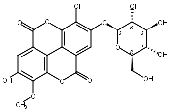 Stachyanthuside A