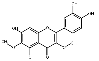 槲皮万寿菊素-3,6-二甲醚；甲氧基万寿菊素