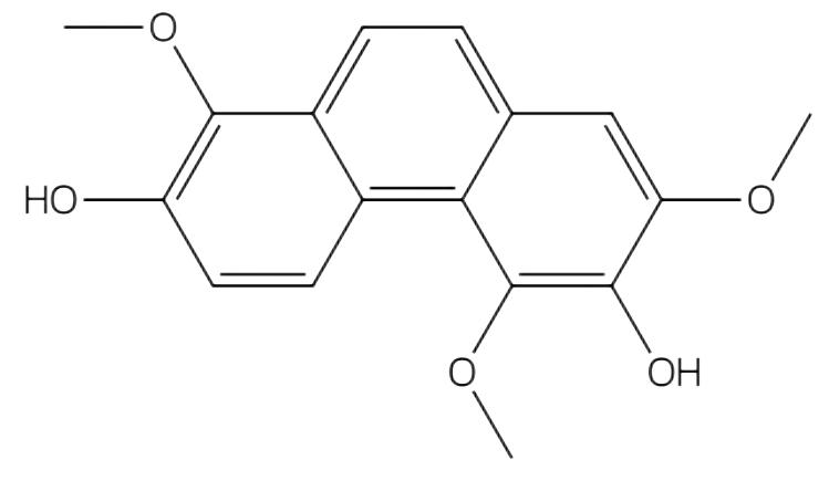 Denthyrsinin