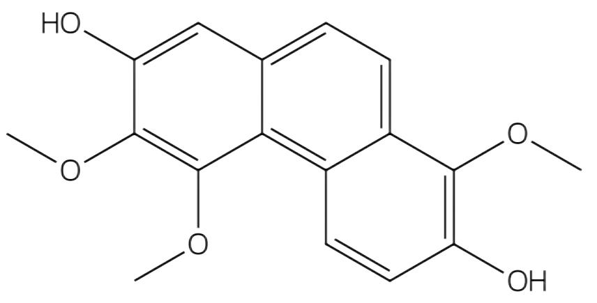 毛兰菲