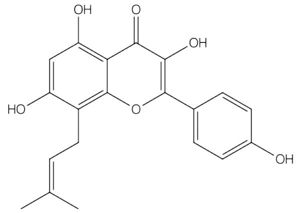 8-异戊烯基山柰酚