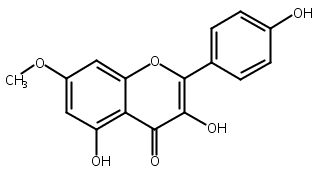 Rhamnocitrin