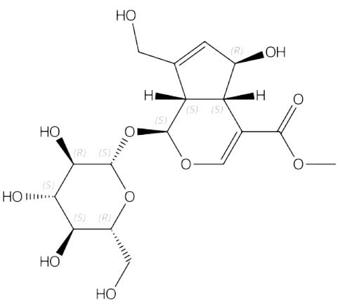 鸡矢藤次苷甲酯