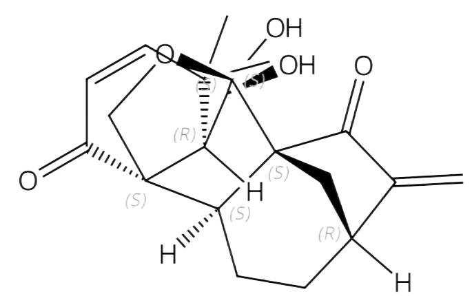 毛萼乙素